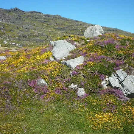 Frühstückspension Errisbeg 3*