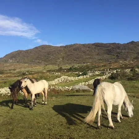 Errisbeg 3*
